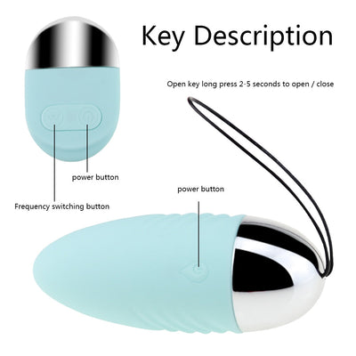 10 Speeds Panties Wireless Remote Control Vibrator Vibrating Egg Waterproof Jump Egg G Spot Clitoris Massager Sex Toy for Female